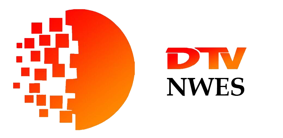 DTV News Logo